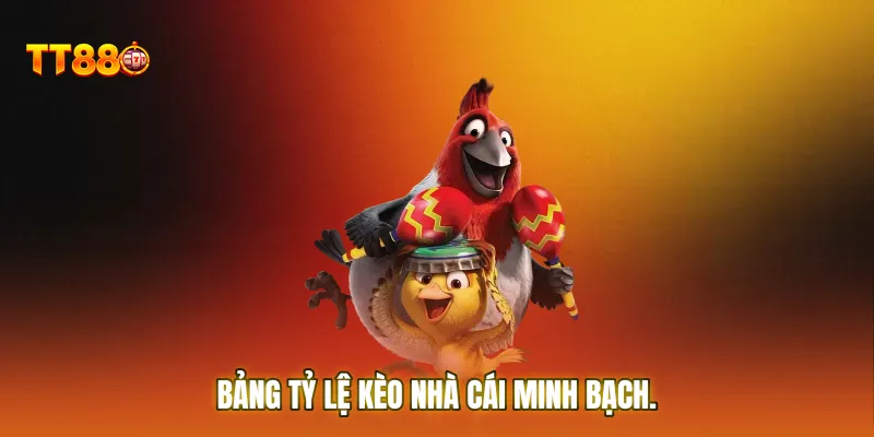 Bảng tỷ lệ kèo nhà cái minh bạch