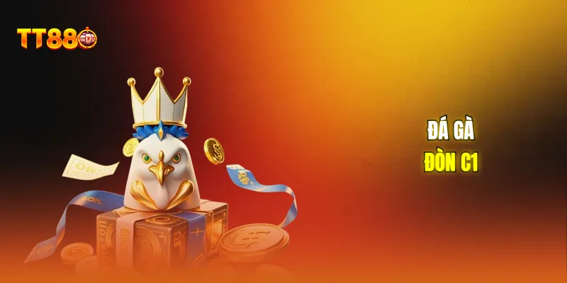 Đá gà đòn C1