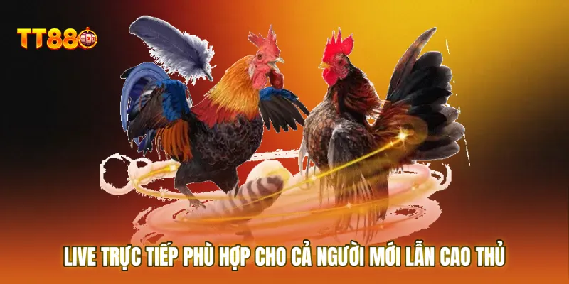 Live trực tiếp phù hợp cho cả người mới lẫn cao thủ muốn chơi chắc tay