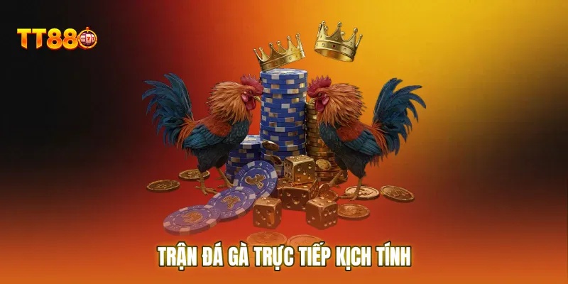 Trận đá gà trực tiếp kịch tính